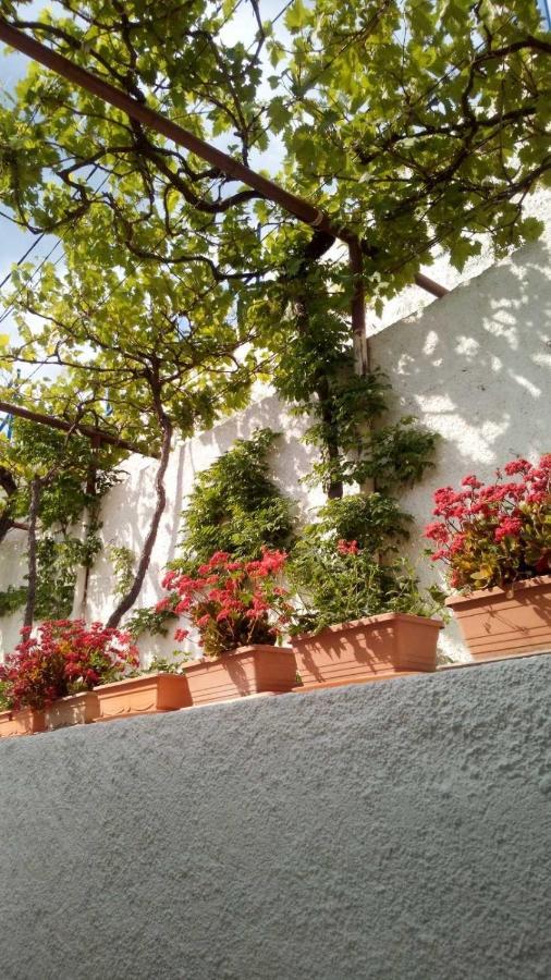 Milojka Apartment Senj  Luaran gambar