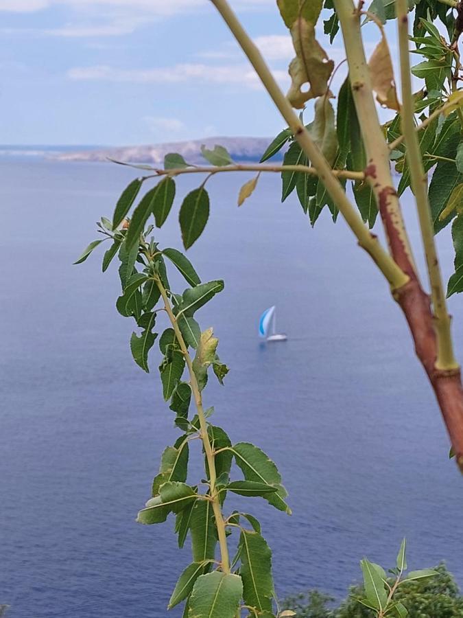 Milojka Apartment Senj  Luaran gambar